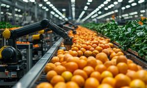 中研网行业资讯_中研普华行业研究网(图25)